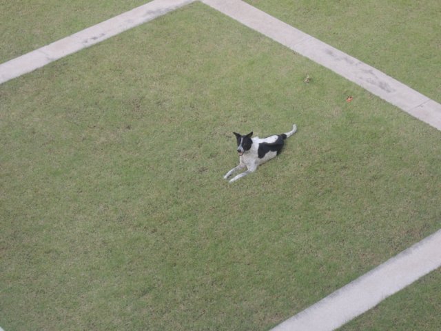 dscn4361.jpg