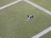 dscn4361_small.jpg