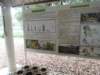dscn4379_small.jpg