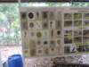 dscn4381_small.jpg