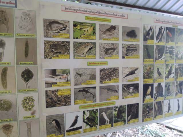 dscn4382.jpg