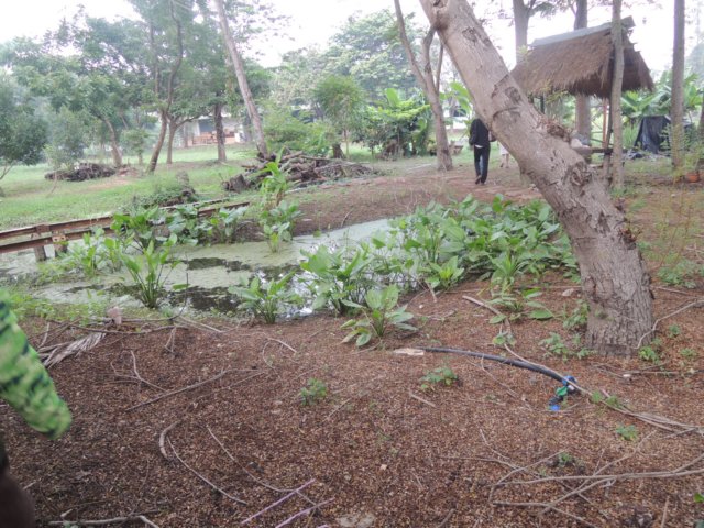 dscn4389.jpg