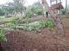 dscn4389_small.jpg