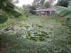 dscn4391_small.jpg