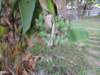 dscn4392_small.jpg