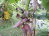 dscn4393_small.jpg