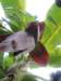 dscn4395_small.jpg