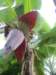 dscn4397_small.jpg