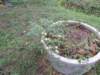dscn4401_small.jpg