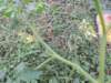 dscn4402_small.jpg