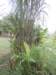 dscn4403_small.jpg