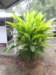 dscn4404_small.jpg