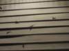 dscn4406_small.jpg
