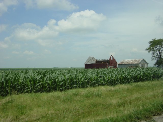 Photograph