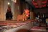 dsc_3359_small.jpg