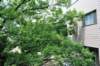jec100621k_0120_small.jpg