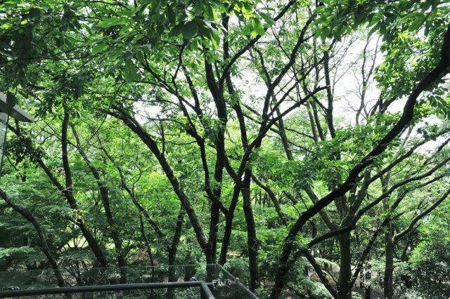 jec100621k_0121.jpg