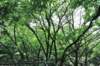 jec100621k_0121_small.jpg