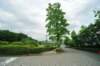 jec100621k_0228_small.jpg