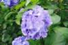 jec100621k_0238_small.jpg