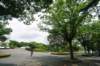 jec100621k_0241_small.jpg