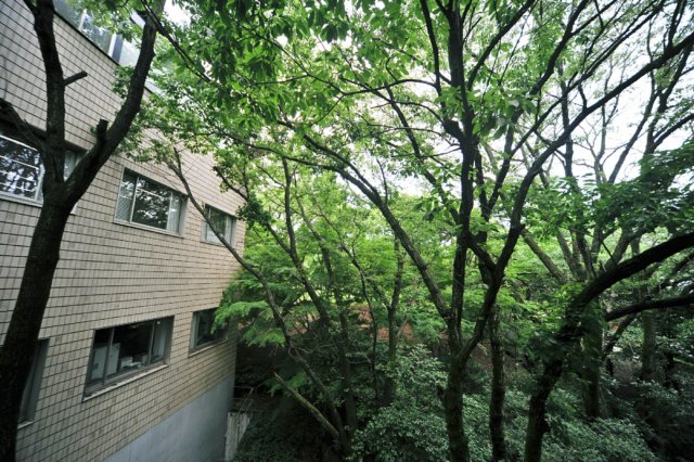 jec100621k_0248.jpg