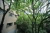 jec100621k_0248_small.jpg
