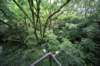jec100621k_0249_small.jpg