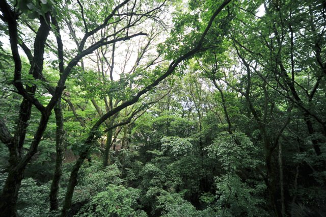 jec100621k_0250.jpg