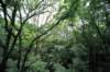 jec100621k_0250_small.jpg
