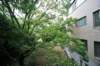 jec100621k_0251_small.jpg