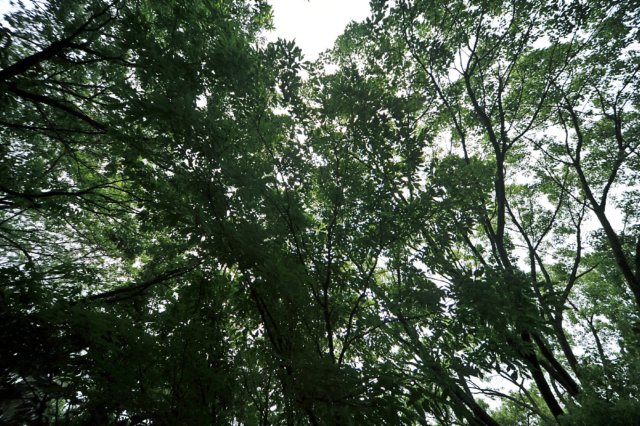 jec100621k_0252.jpg