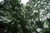 jec100621k_0252_small.jpg