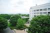 jec100621k_0269_small.jpg