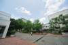 jec100621k_0289_small.jpg