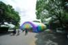 jec100621k_0295_small.jpg