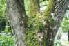 jec100621k_0429_small.jpg