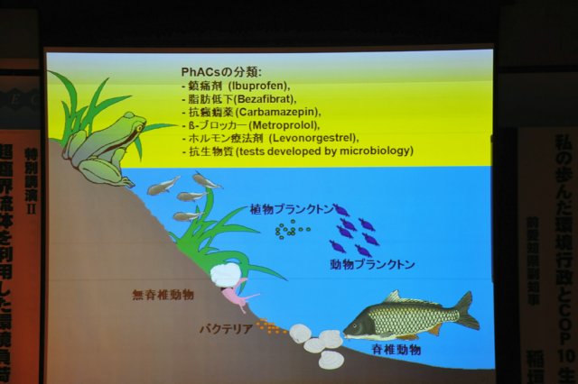 jec100623k_0459.jpg