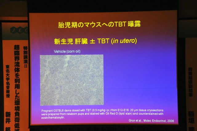 jec100623k_0475.jpg