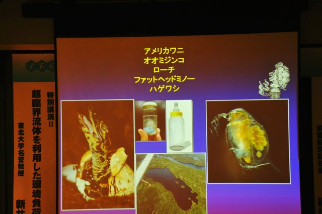 jec100623k_0482.jpg