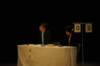 j21k_120711_0221_small.jpg