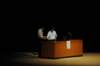 j21k_120713_0177_small.jpg
