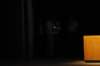 j21k_120713_0285_small.jpg