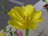 Photo Number 7