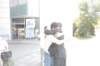 pop_9985_small.jpg