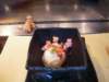 dscn2014_small.jpg