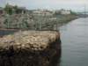 dscn2173_small.jpg