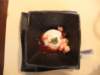 dscf2710_small.jpg