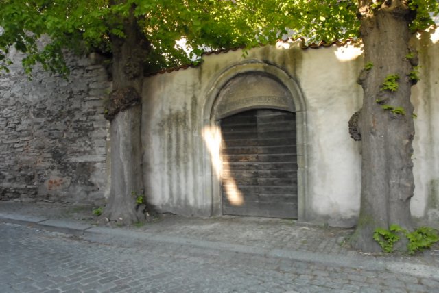 pop_8737.jpg