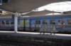 dsc_0170_small.jpg